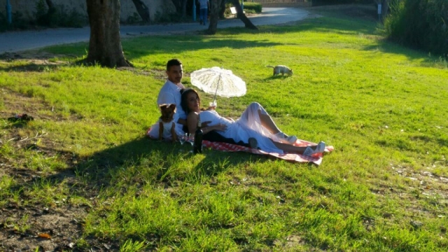 אקססוריז לטראש דה דרס